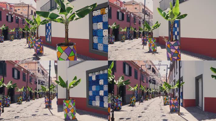 彩色盆栽装饰的街道风景