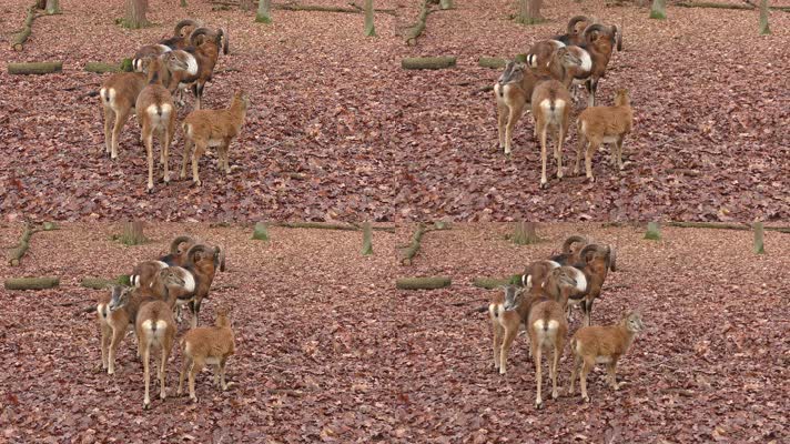 博物馆外停放的多彩汽车与飞机