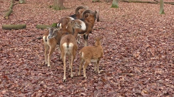博物馆外停放的多彩汽车与飞机