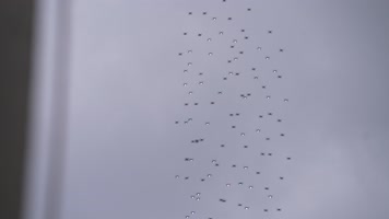 科技深圳-8无人机群   无人机制造  无人机群表演  无 科技深圳-8无人机群   无人机制造  无人机群表演  无