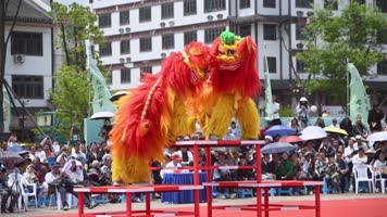 【4k合集】青少年舞狮比赛 传统民间艺术