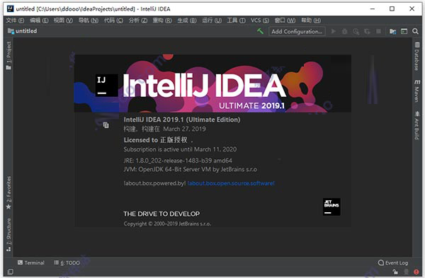 intellij idea Ultimate 2019.3.3中文破解版