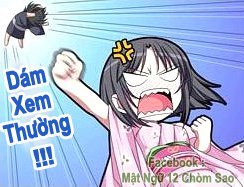彩票快打软件下载安装